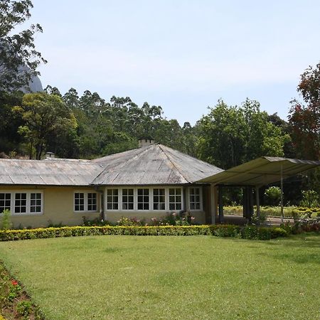 Ama Stays And Trails Tea Estate Bungalows , Munnar Buitenkant foto